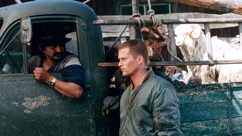 Brute still 6