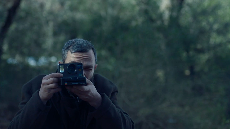 Apples still 8