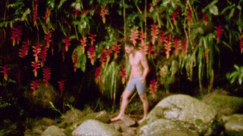 Heliconia still 2