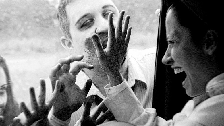 Zombies in the Sugar Cane Field: The Documentary still 1