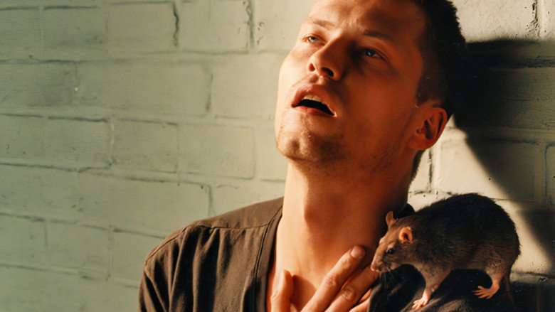 Brute still 5