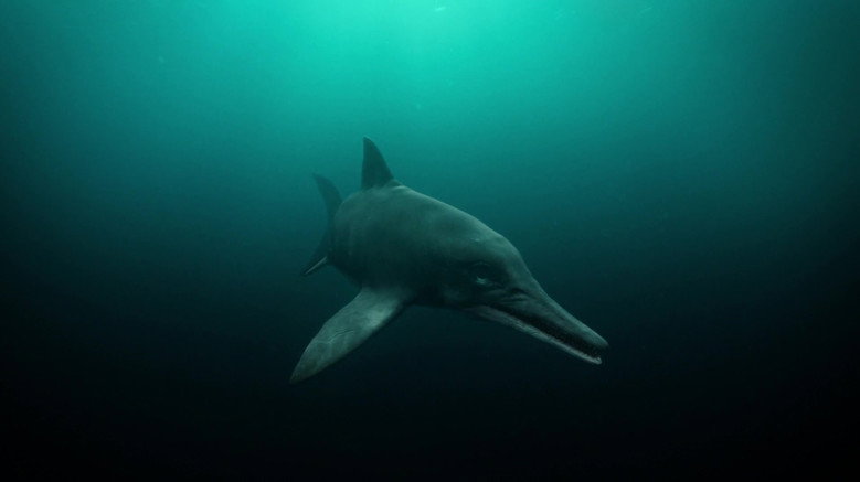 Attenborough and the Sea Dragon still 8