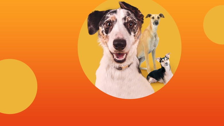 The Dog House Australia still 1