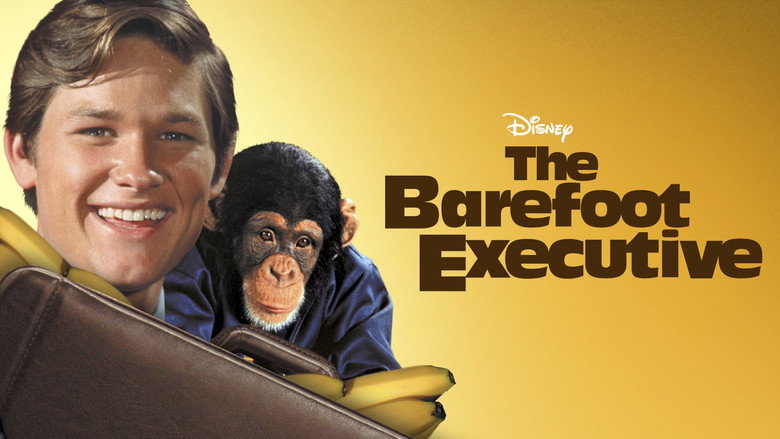 The Barefoot Executive still 3