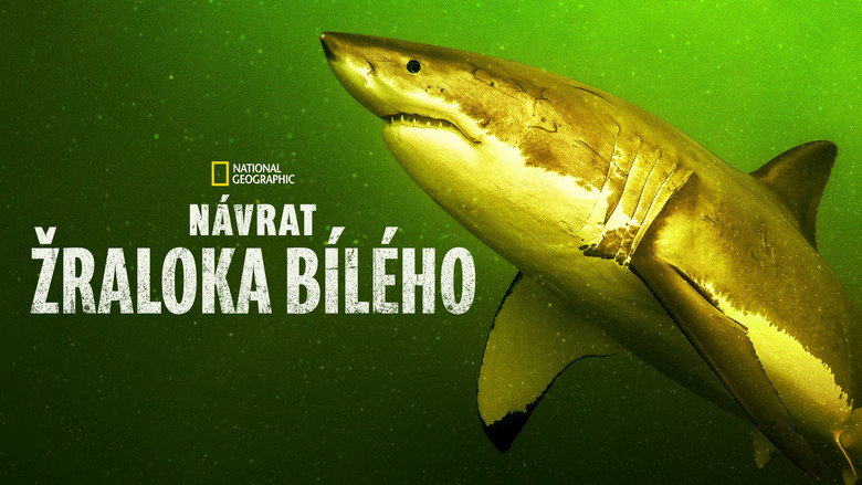 Return of the White Shark still 7