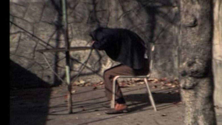L'albero storpio still 1