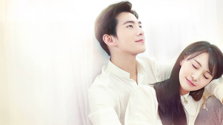 Love O2O still 5