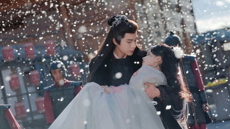 代她 still 2