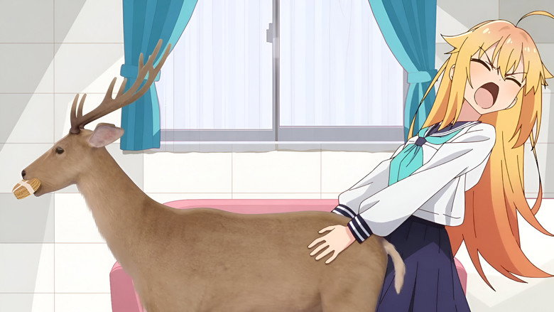 My Deer Friend Nokotan still 6