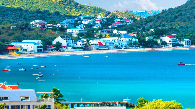 Caribbean Life still 3