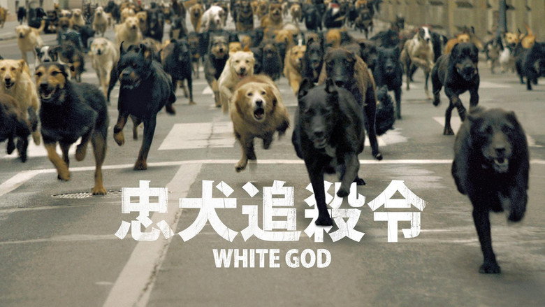 White God still 5