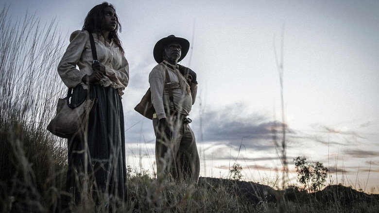 Sweet Country still 4