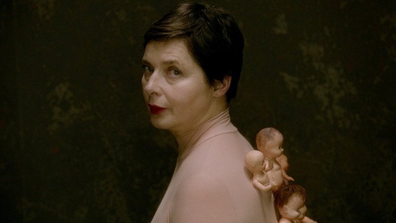 Mammas still 5