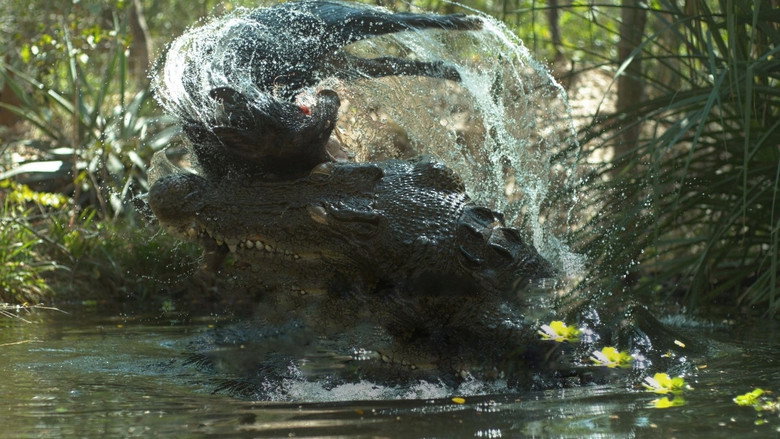 Crocodile: Australia's Greatest Survivor still 2