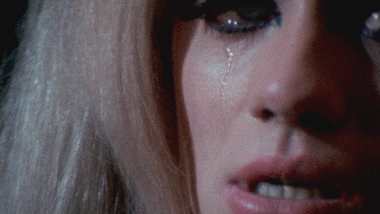 The Queen still 3