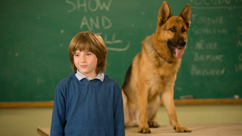 Cool Dog still 2