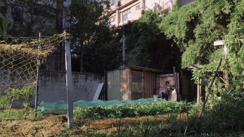 The Paperflower Still Blooms still 5