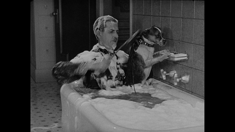 Wonder Dogs! Canine Stars of the Silent Era (1898-1928) still 8