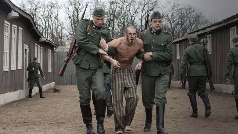 The Photographer of Mauthausen still 2