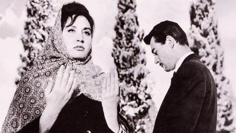 Erkek Ali still 1