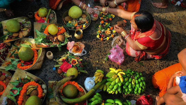 Vegetarians, The Great Odyssey still 1