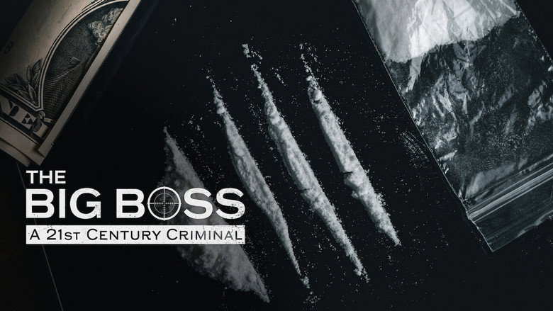 The Big Boss: A 21st Century Criminal still 3