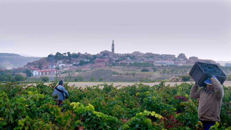 Rioja: The Land of a Thousand Wines still 2