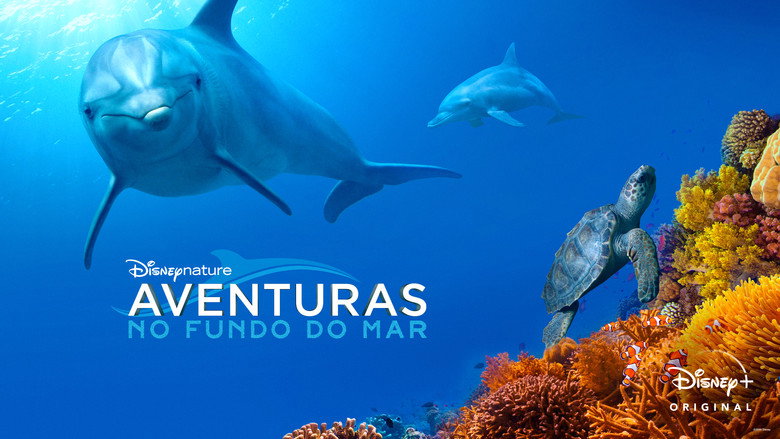 Dolphin Reef still 8
