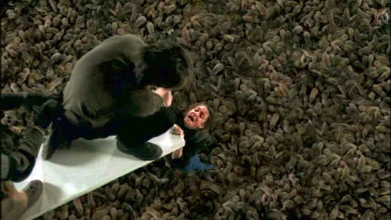 The Rats still 6