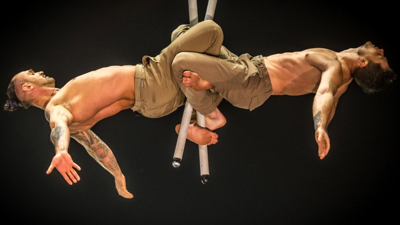 44e Festival mondial du Cirque de Demain still 8