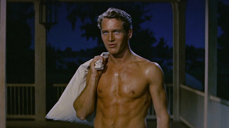 The Long, Hot Summer still 4