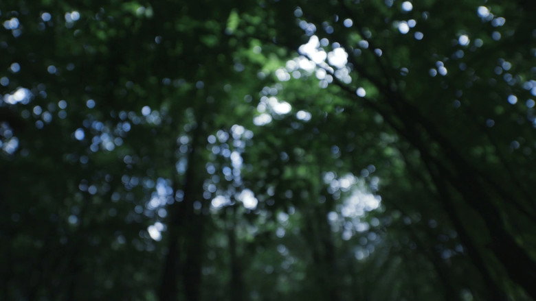 Lo Que Queda en la Tierra still 4