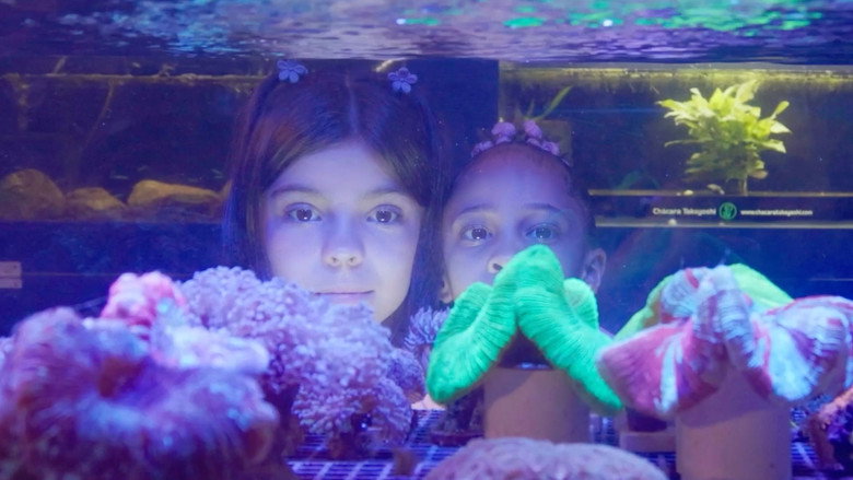 Aquário still 1