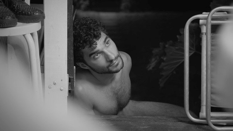 Perro Perro still 6
