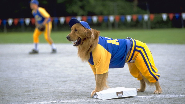 Air Bud: Seventh Inning Fetch still 2